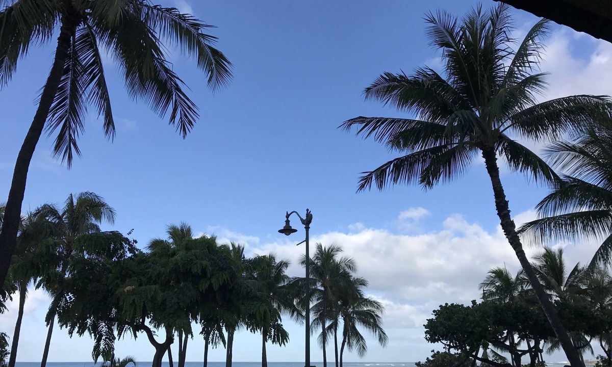 Diamond Head - Kapahulu - St. Louis Condo | Beautiful Condo in the heart Diamond Head Honolulu, HI