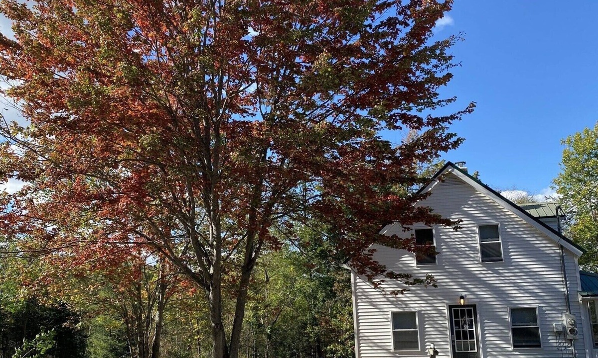 Dalton House | Comfy Home on 2+ acres just outside the White Mountains on the Connecticut River