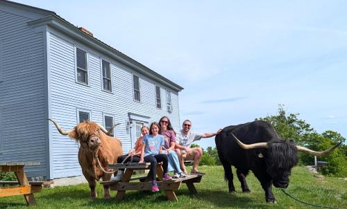Loudon Apartment | Cozy Highland Cattle-View Suite Peaceful, Private Pet-Friendly