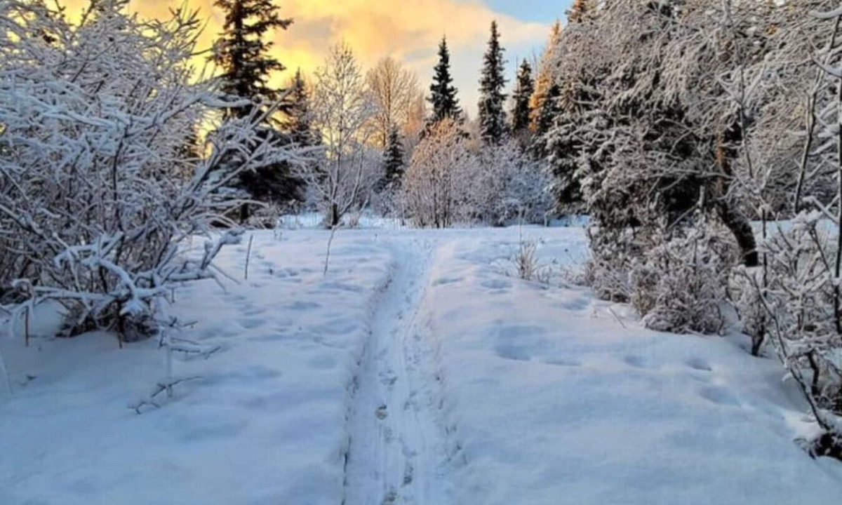 Taku - Campbell House | Creekside Home: Wild Alaska Living Centrally Locat