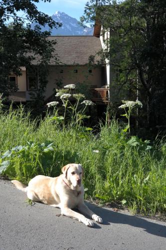 Eagle River House | Eagle Peak Guesthouse