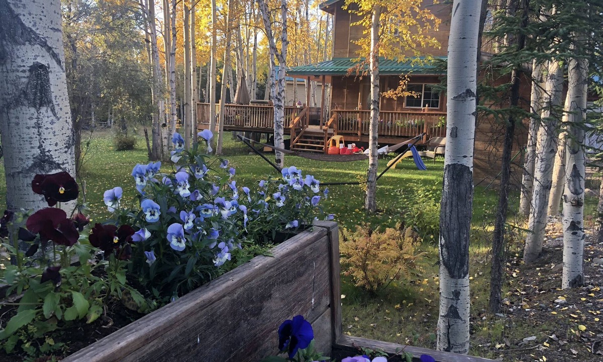 Healy House | Gorgeous House in Healy, with HOT TUB
