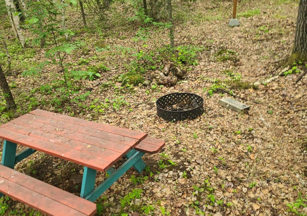 Houston Other | Houston Grass Station Campsite #30