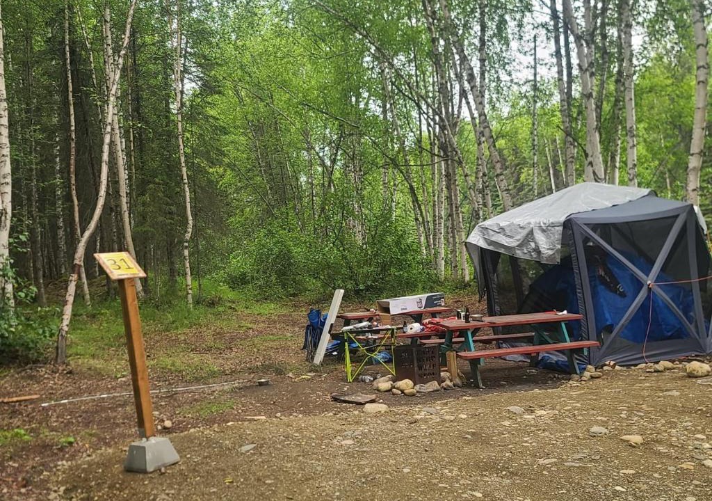 Houston Other | Houston Grass Station Campsite #31
