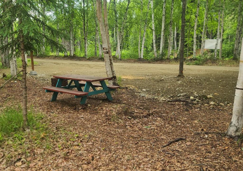 Houston Other | Houston Grass Station Campsite #32