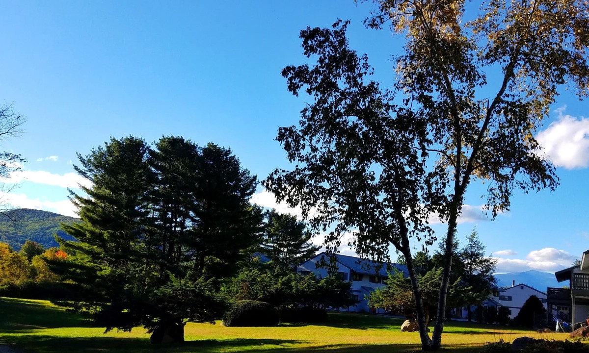 Bartlett House | LOCATION, COMFORT & VIEWS IN THE WHITE MOUNTAINS!