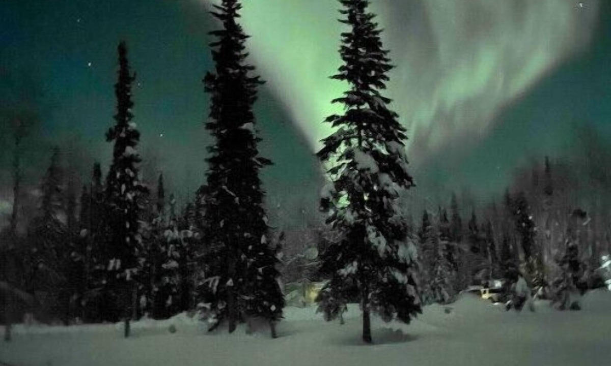 North Pole House | Lou’s Bear Den clean, quiet, comfortable. Close to everything you’ll need