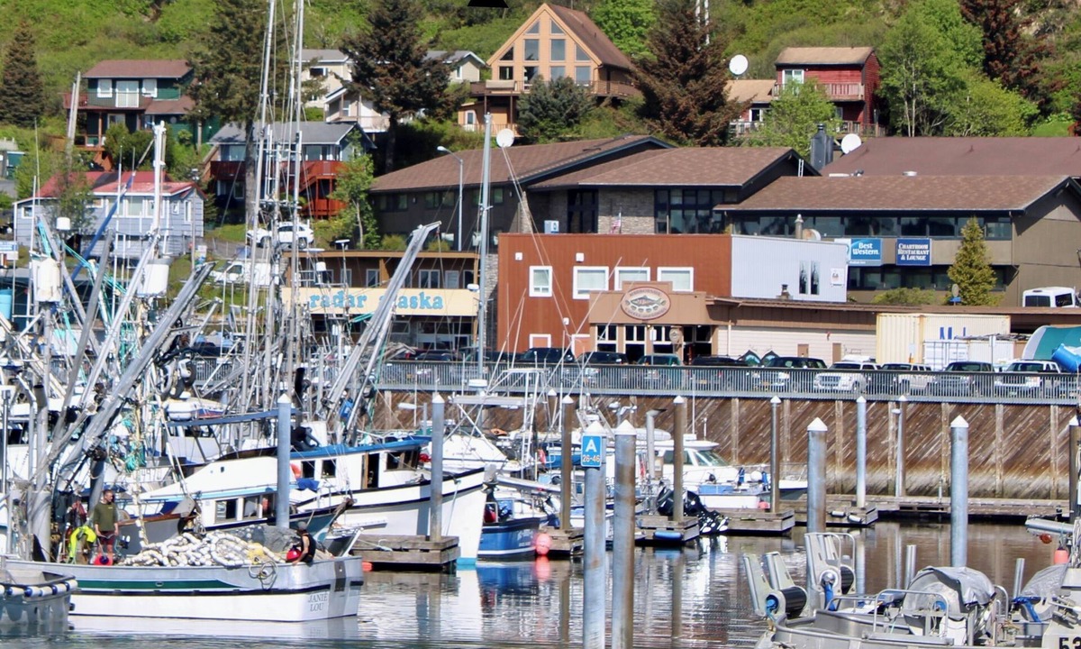 Kodiak House | 🐻 Majestic Bear- Central Location with Spectacular Views 🏔🦅🎣🐋⚓️🦦