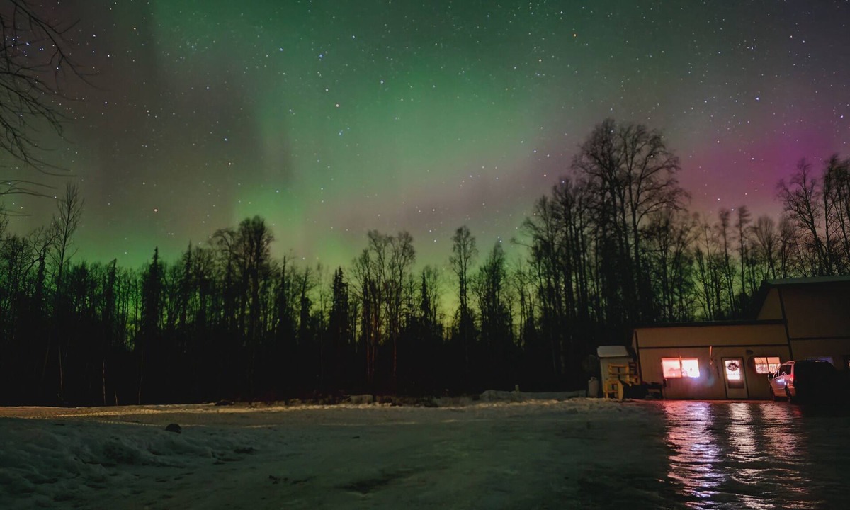 Susitna North Apartment | Massive 1,000 SqFt Talkeetna Basecamp Near Susitna River and Talkeetna Spur Road