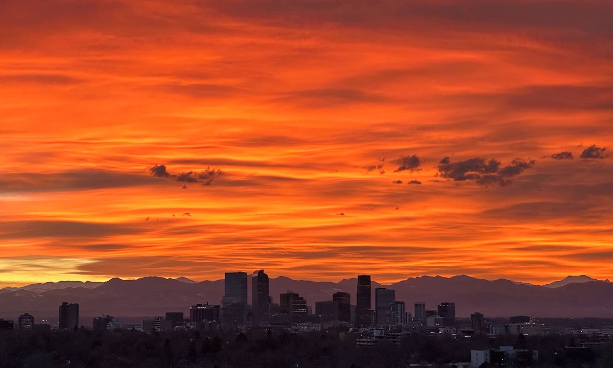 Hale Condo | Mile High Mid-Century Oasis, Light-Filled Central Denver Walkable Neighborhood!