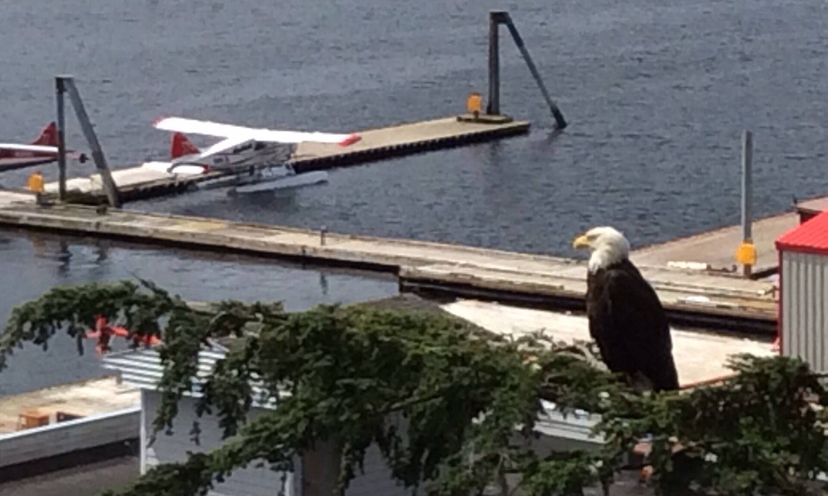 Ketchikan House | Million Dollar Water View on Historic Street