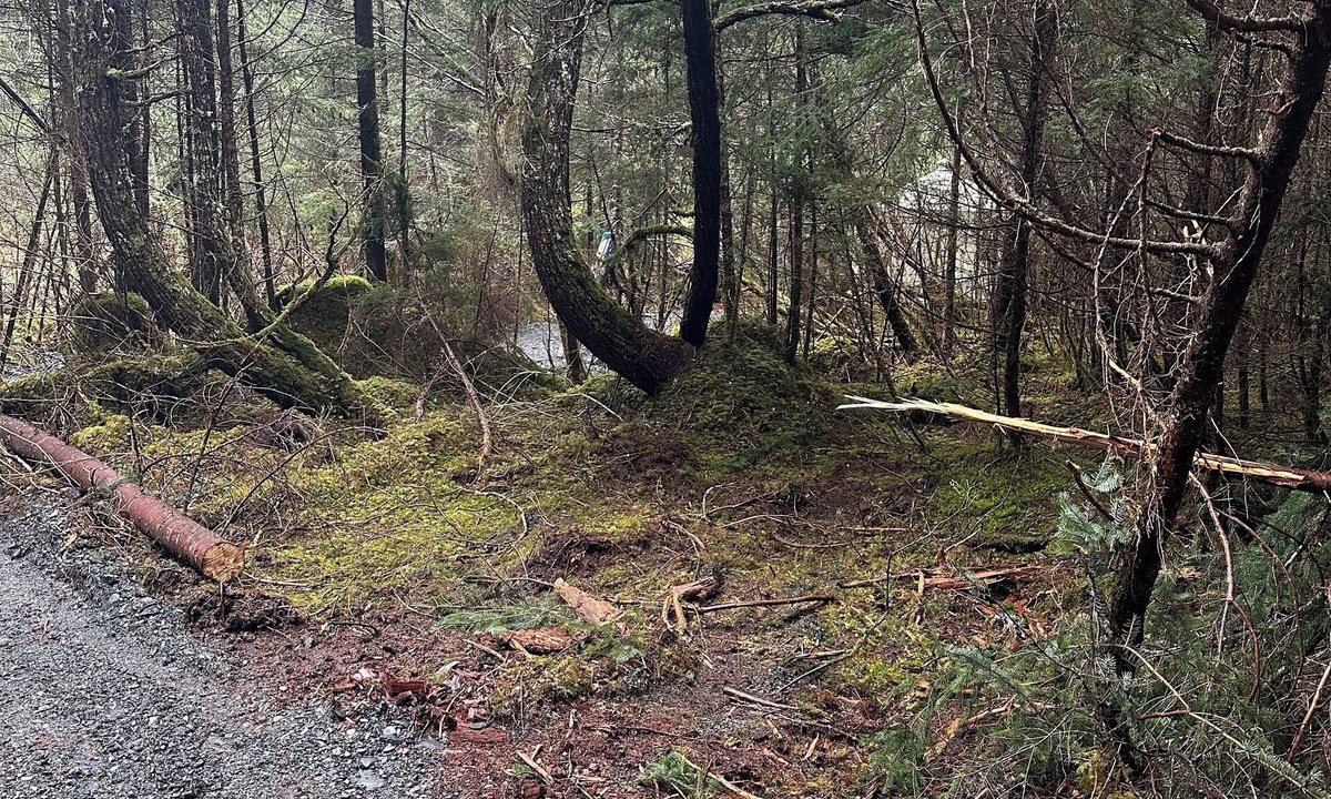 Bear Creek RV Rental | Natural scenic camp in Seward