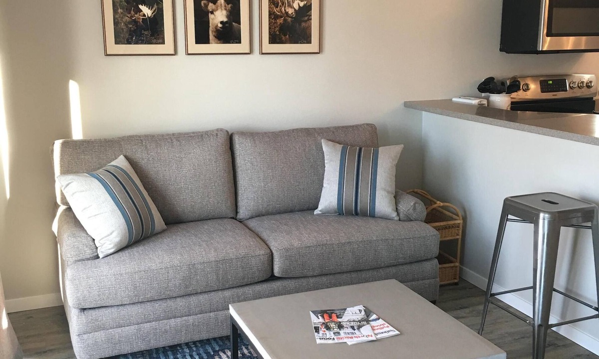 College Apartment | Newly Renovated In-Town Apartment - Close to everything!