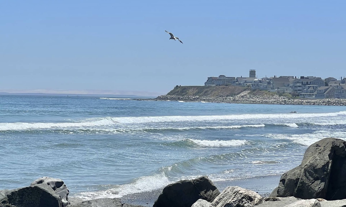 Hampton Condo | Oceanfront, private balcony, stunning panoramic views of the Atlantic