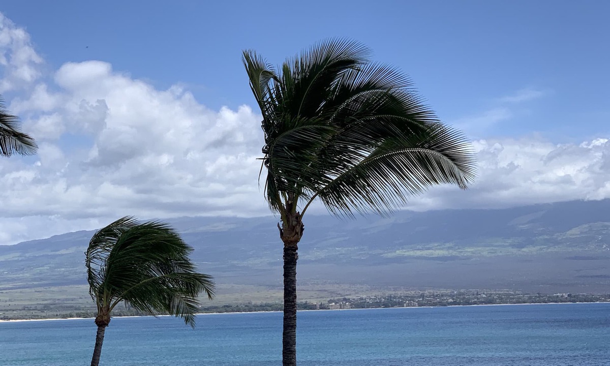 Maalaea Condo | OCEANFRONT SPECTACULAR CONDO-New Furnishings & Appliances - 60ft From the Water!