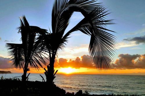 Kehena Apartment | Pahoa Paradise Palms