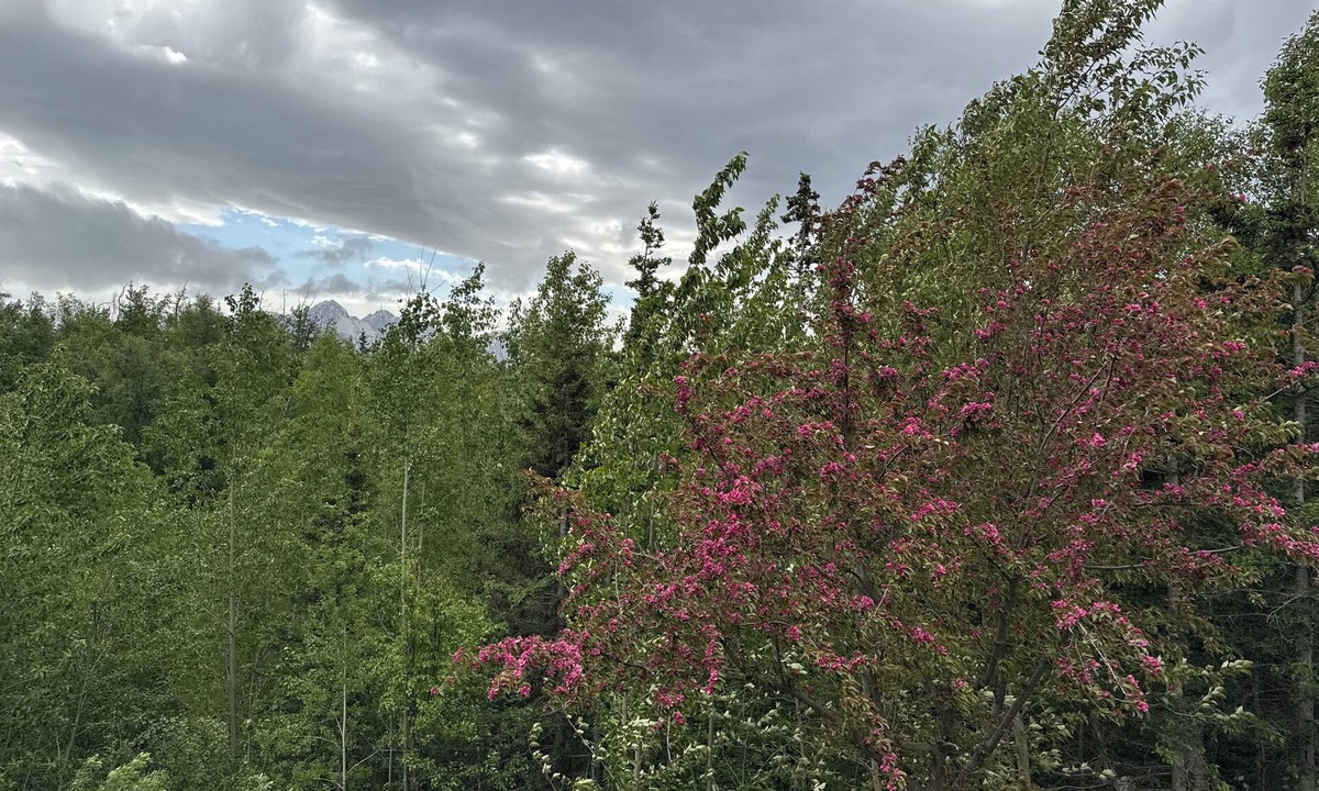 Gateway House | Potential wedding venue. 4-bedroom house. dog friendly. Extra travel trailers.