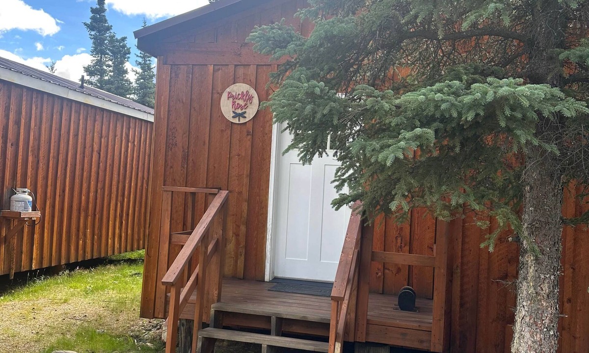 Healy Cabin | Prickly Rose Cabin-Arctic Dragonfly Inn
