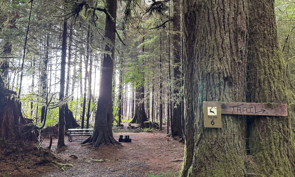 Forks RV Rental | Primitive Tent Site #6- Beautiful Forested Property