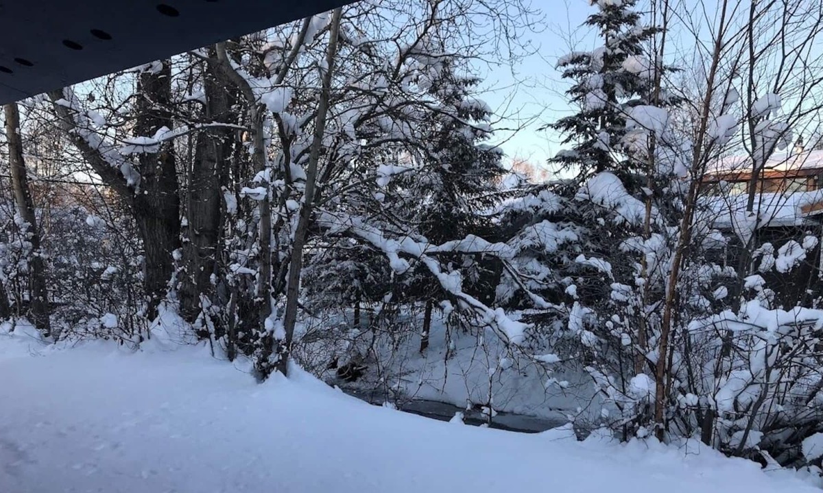 Northeast Anchorage House | Quiet Gem, right on a creek. Newley Renovated.