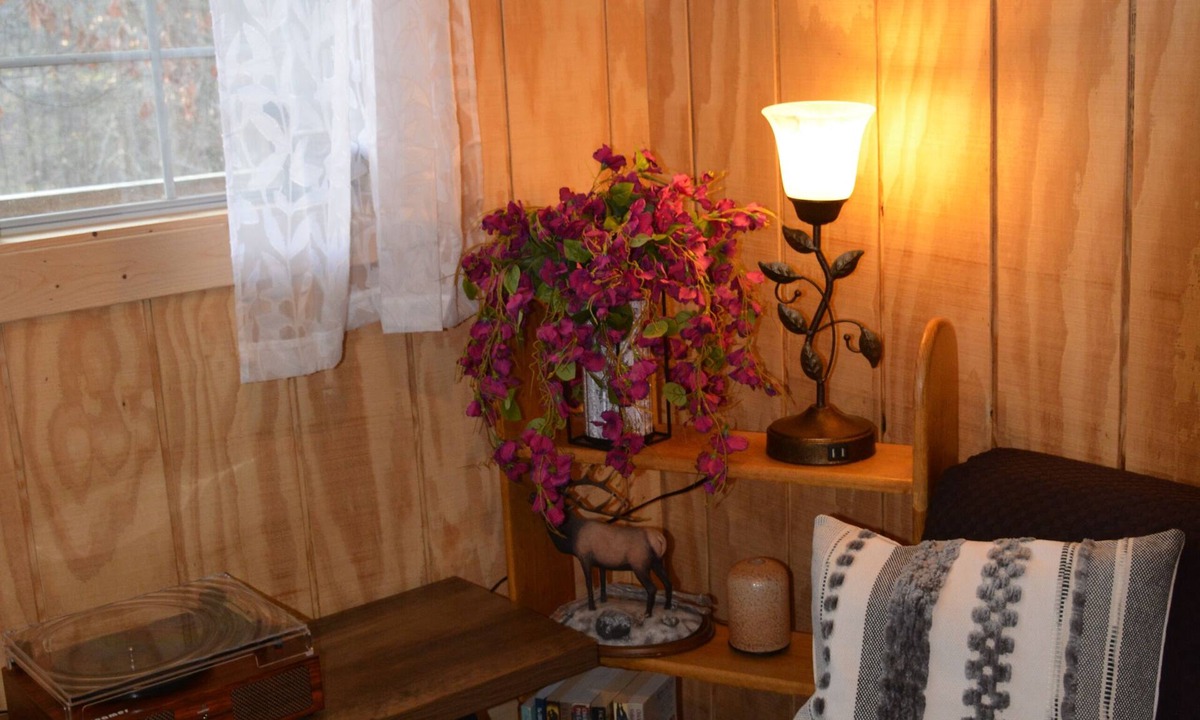 Lexington Cabin | Rustic Primitive Cabin near Athens GA!
