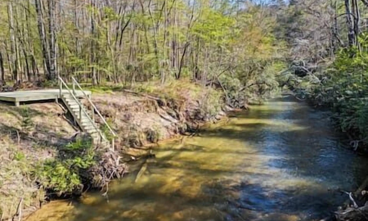 Epworth House | Spacious Cabin with Sauna, Hot & Cold Tubs, Gym Fightingtown Creek in Blue Ridge