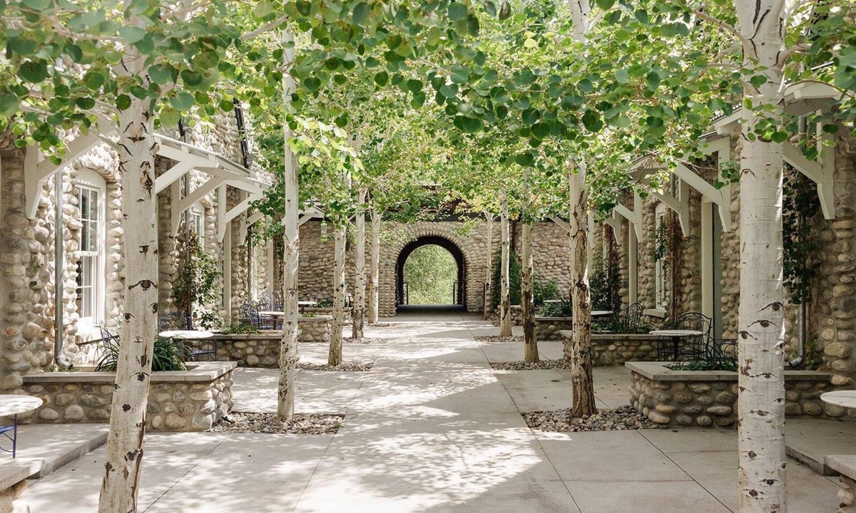 Buena Vista Hotel | Surf Hotel & Chateau