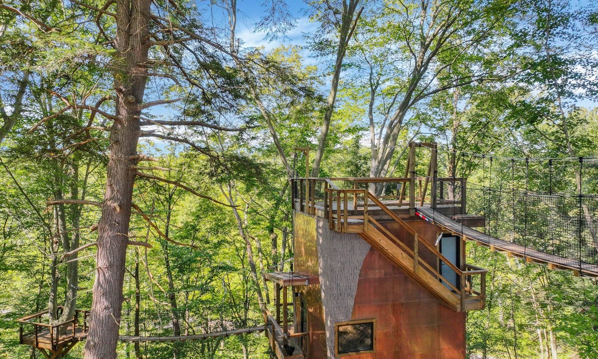 Rockbridge House | The Time Machine Treehouse
