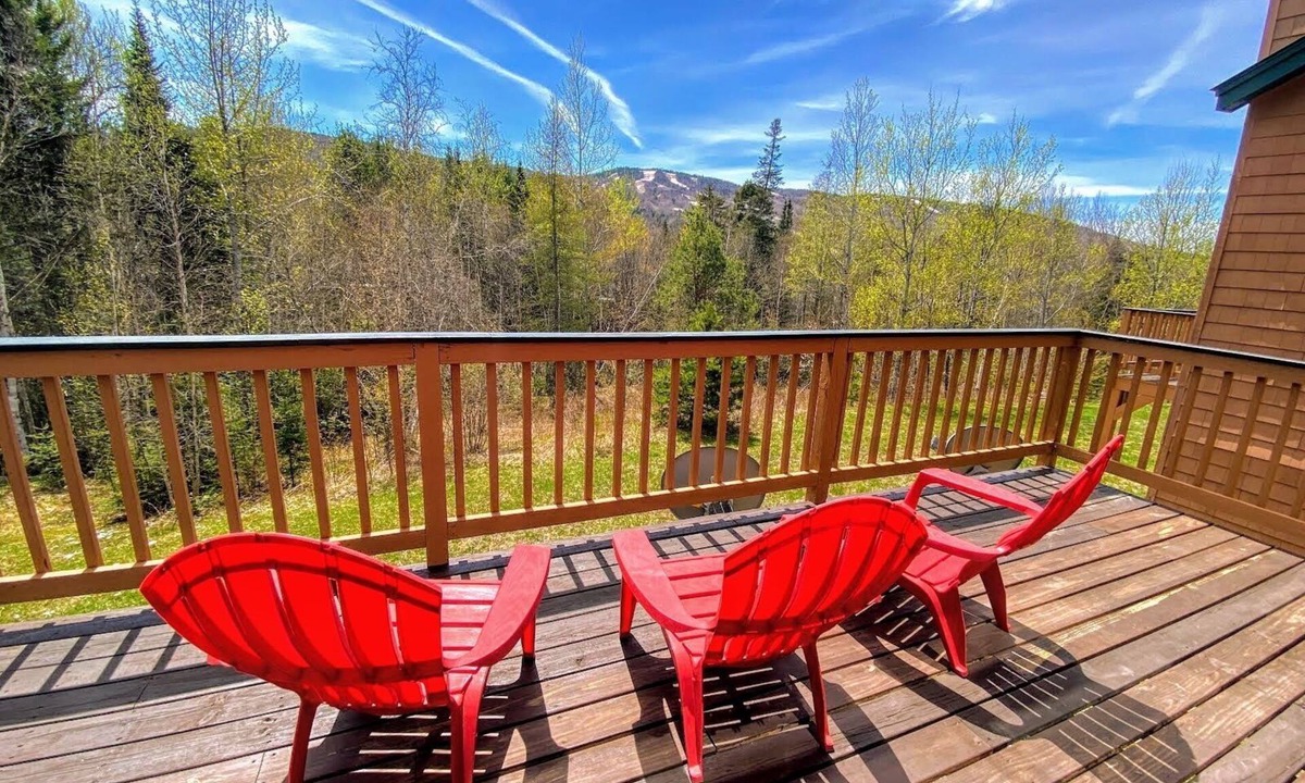 Carroll House | W62 Mount Wash Place Townhome, AC, seasonal views, fireplace, large deck, yard, and ping pong!