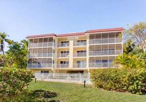 Janthina 2B