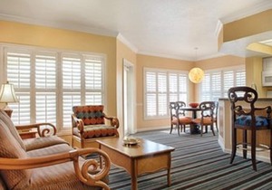 Orlando is the ultimate dream vacation!