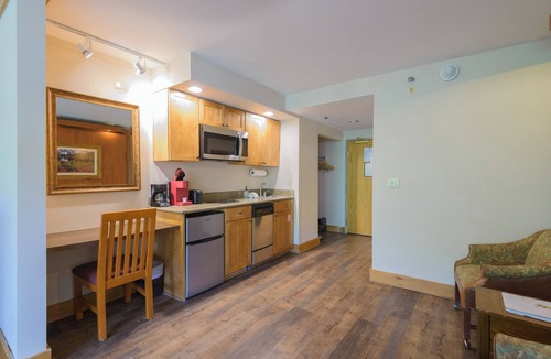 Mount Crested Butte Condo | 515 Slopeside Condo in Mt. Crested Butte
