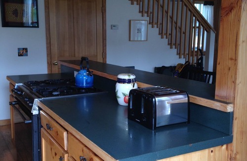 Crested Butte House | A Sweet Lovely Space to Slow Down and Have Fun. Pet Friendly! LVL 2 EV Charger