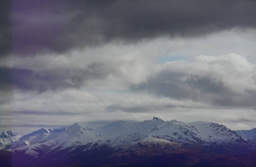 Healy Cabin | Alaska secluded Cabin, just 15 Highway miles from Denali National Park Entrance.
