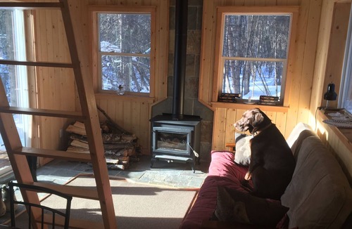Fairbanks North Star Borough Cabin | Alaska vacation spot