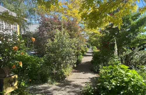 Ballard House | Artist’s EcoRetreat in the heart of Ballard