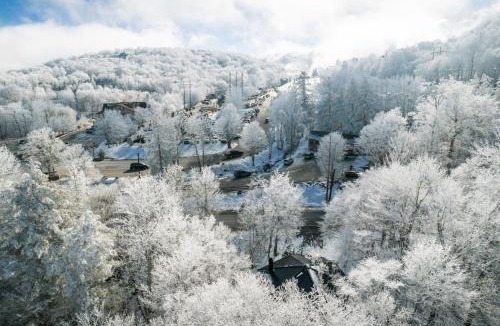 Beech Mountain House | At The Ski Resort Entrance, Gas Fireplace, Deck, Firepit,