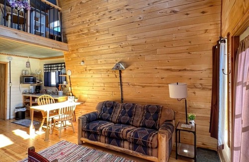 Creede Cabin | Avalanche Lily - Cabin 4 - 2 bedrooms in Creede, Colorado