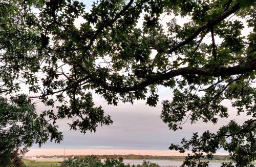 Flanders Apartment | Bayfront & nature preserve!