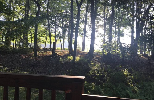 Trout Dale House | Beautiful Log Cabin, Mountain Top Retreat Among the Trees