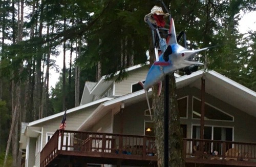 Juneau Apartment | Biker's Bungalow - Near Mendenhall Glacier and Auke Bay Offering DISCOUNT ON TOURS!
