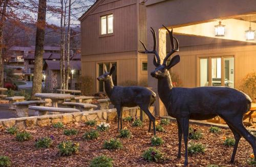 Tynecastle Hotel | Bluegreen Vacations Blue Ridge Village, an Ascend Collection Resort