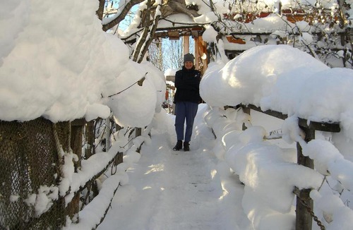 Kachemak Bed & Breakfast | Brigitte's Bavarian Bed und Breakfast