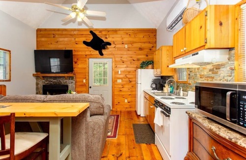 Ellijay Cabin | Cabin Near Amicalola Falls | Firepit | Great for a summer getaway!