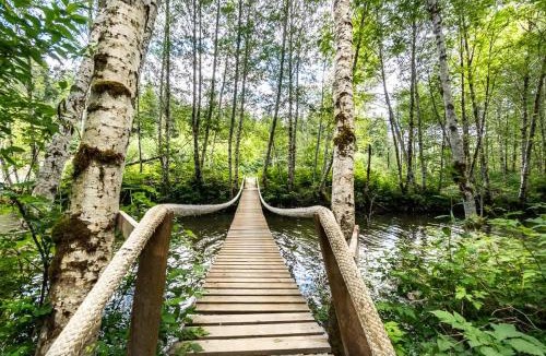 Darrington House | Camp Hideaway - Dog friendly and River Beach
