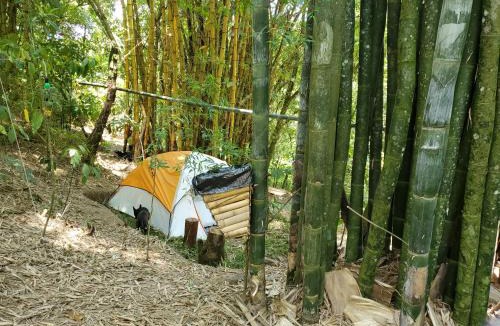 Cuetzalan del Progreso Other | Campamento equipado de bosque