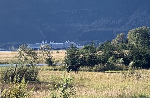 Seward House | Charming Minimalist Cabin Escape with Modern Essentials in Seward, Alaska