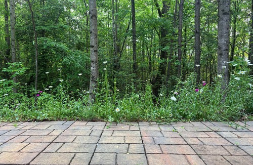 Buford House | Charming Private Guest Suite in marvelous Buford with WiFi, AC