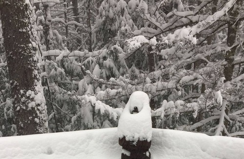 North Conway Ski Chalet | Classic New Hampshire Ski Chalet in the Mountains +AC
