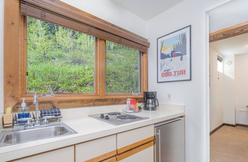 Telluride Hotel | Clean, Spacious Suite in Prime Riverside Location